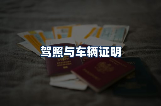 车辆证明展示